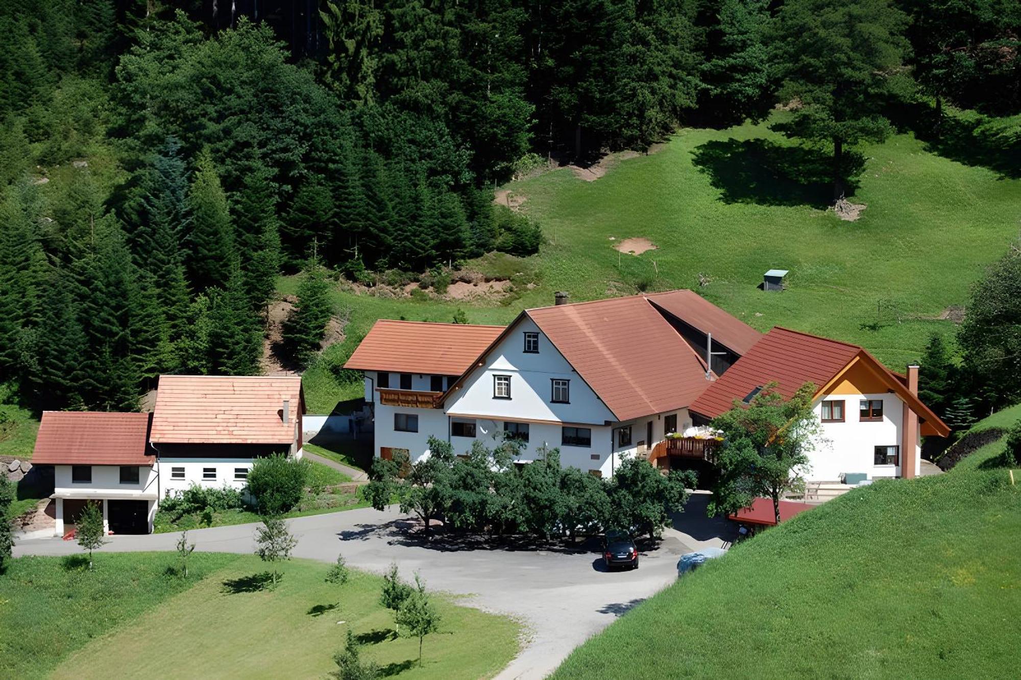 Apartament Holderstanzenhof Bad Peterstal-Griesbach Zewnętrze zdjęcie