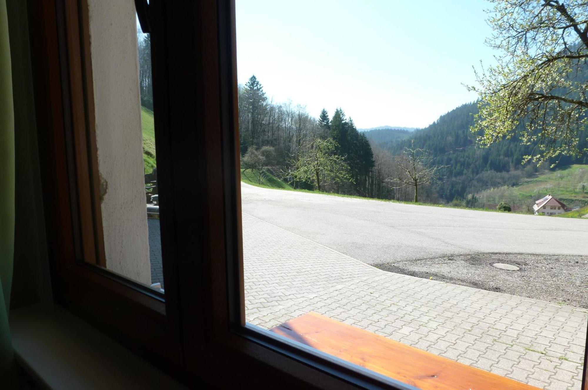 Apartament Holderstanzenhof Bad Peterstal-Griesbach Zewnętrze zdjęcie