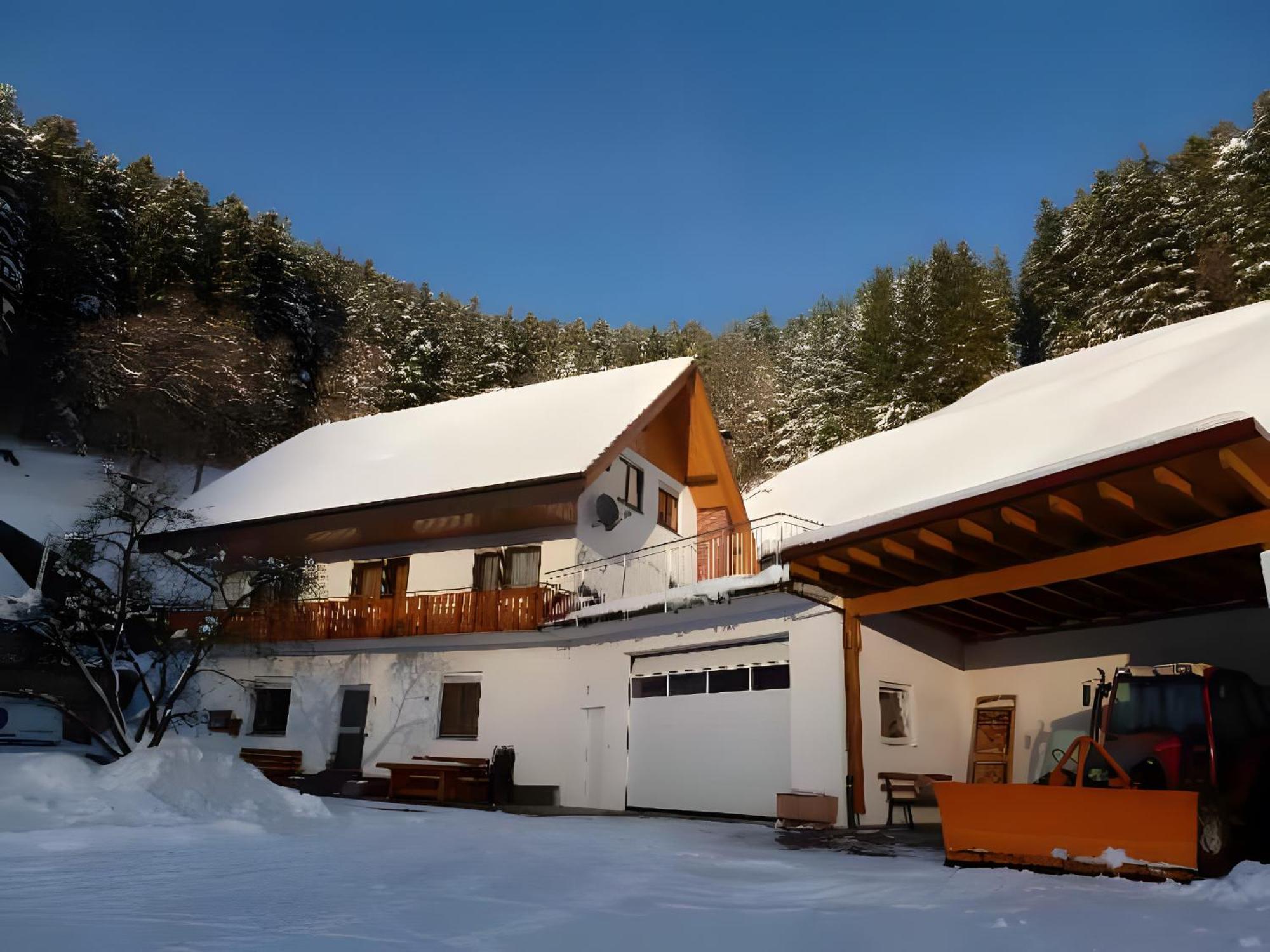 Apartament Holderstanzenhof Bad Peterstal-Griesbach Zewnętrze zdjęcie